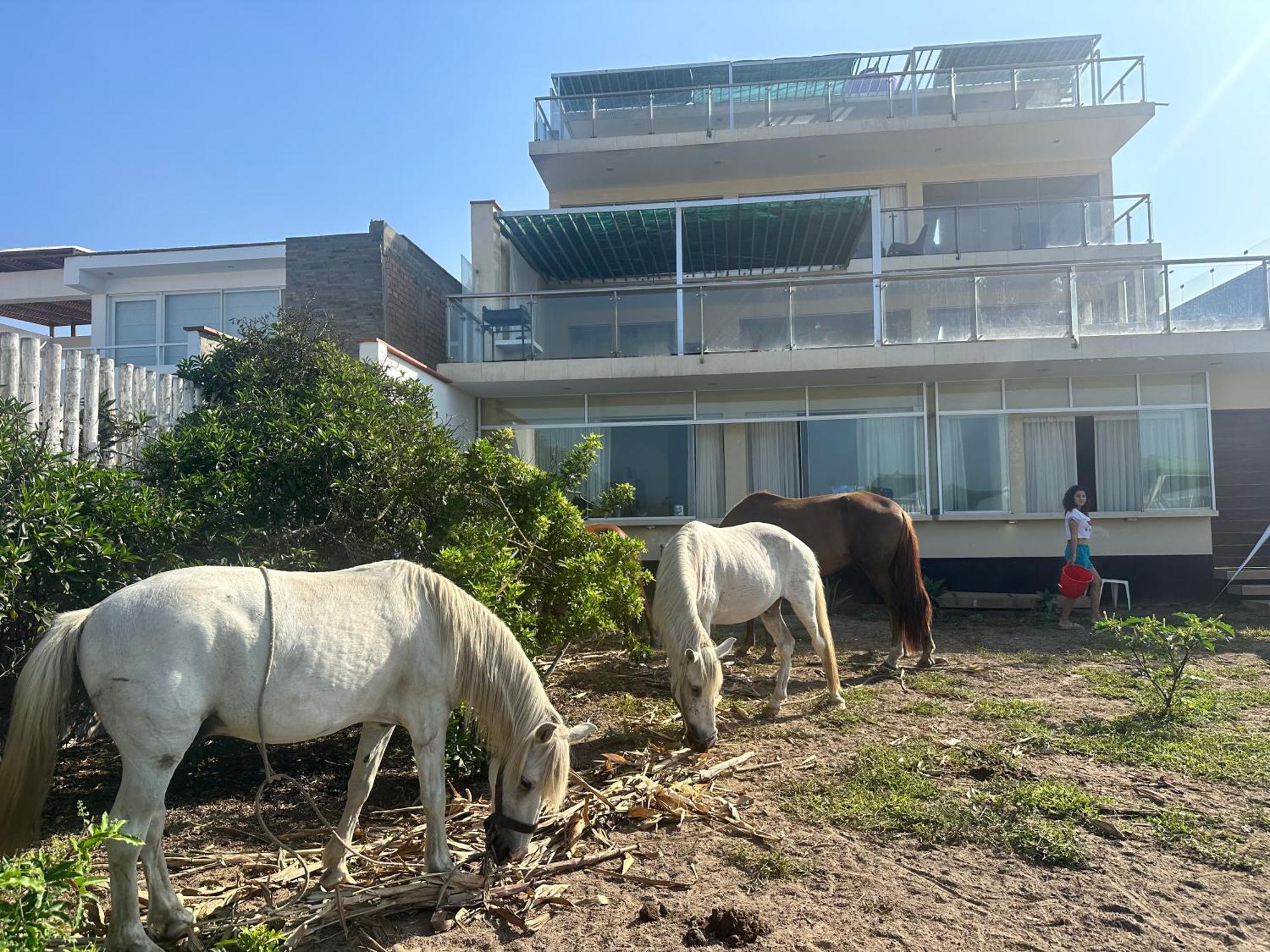 アシア Yolo House Peru Bed & Breakfast エクステリア 写真