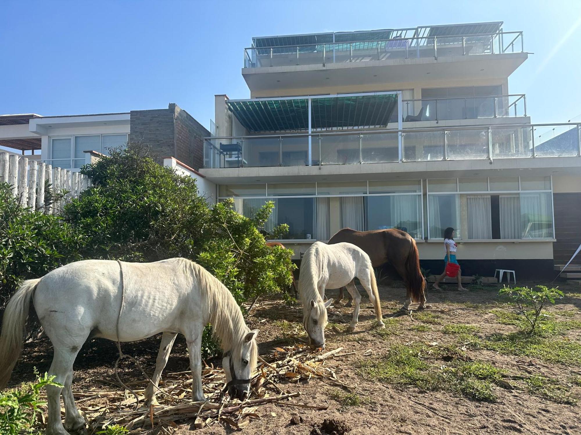 アシア Yolo House Peru Bed & Breakfast エクステリア 写真